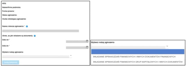 Jak utworzyć plik XML do KRS i uniknąć błędów w składaniu? Jak utworzyć plik XML do KRS i uniknąć błędów w składaniu?